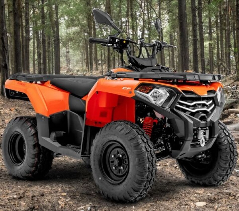 LONCIN XWolf XWolf 300 T3b