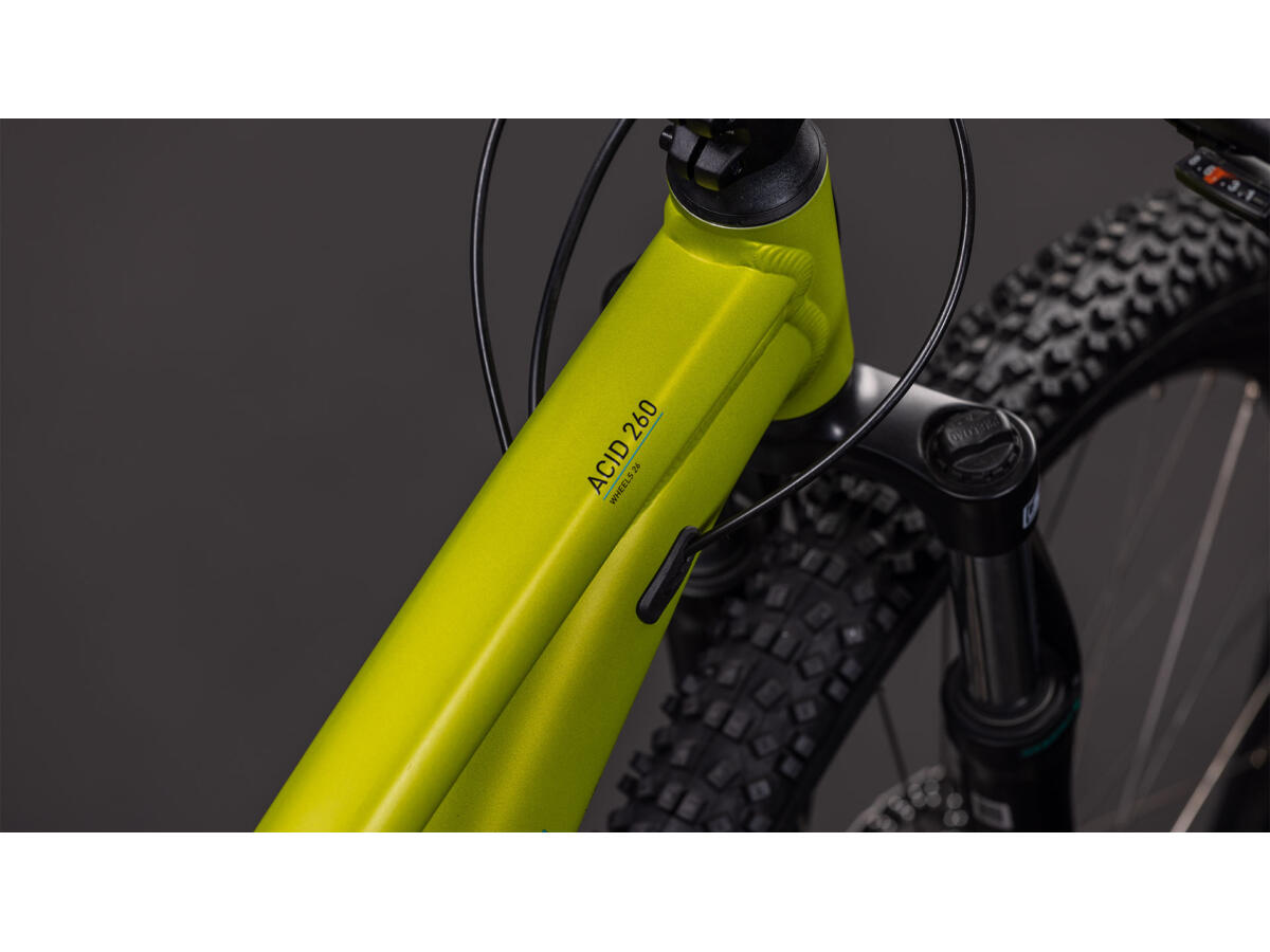 Cube Acid 260 Disc lizard´n´blue