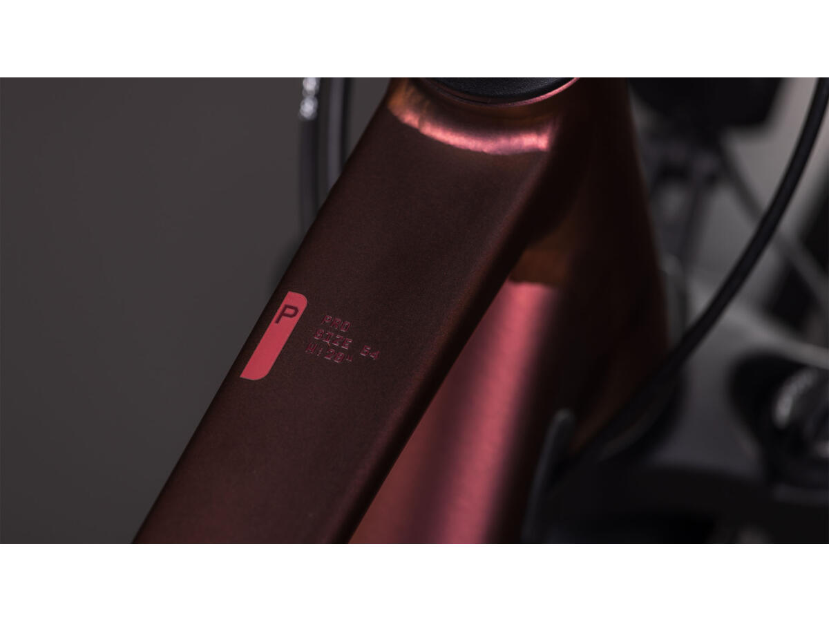 Cube Kathmandu Pro sunglow´n´prizm