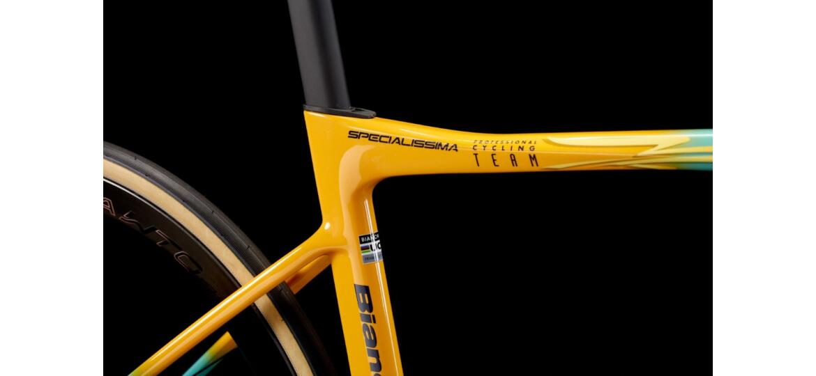Bianchi SPECIALISSIMA RC "PANTANI"