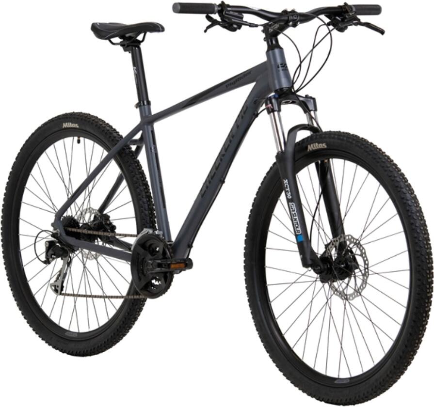 Checker Pig MTB 9.3 Diamant 29 Zoll