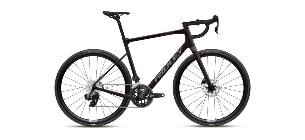 Ridley Grifn Rival AXS 2x12