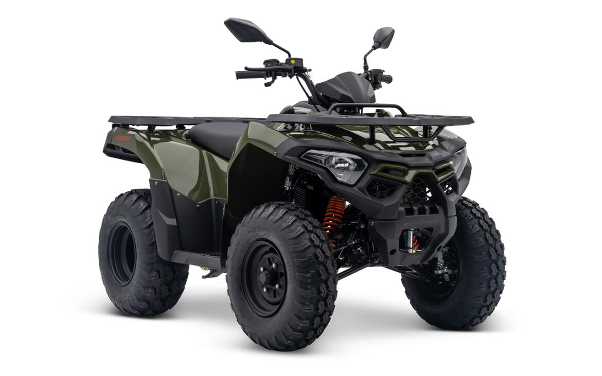 LONCIN XWolf XWolf 200 T3b