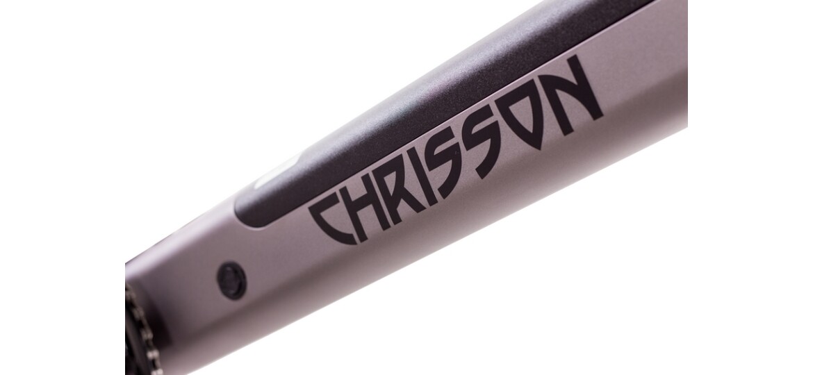 Chrisson Kompaktrad E-Bike ERTOS20 grau matt
