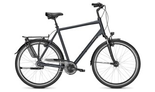 Raleigh Chester 8 XXL von Stavermann GmbH, 49124 Georgsmarienhütte