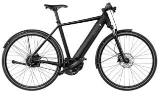 Riese und Müller Roadster Vario von Profile Beining, 31036 Eime
