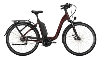 Victoria eManufaktur 9.8 - Modell 2021 von Dornecker - E-Bikes vom Hof, 24594 Grauel