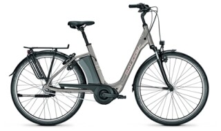 Raleigh Corby  7 RT  28"  418 Wh von Fahrrad Wollesen GmbH & Co. KG - Aventoft, 25927 Aventoft