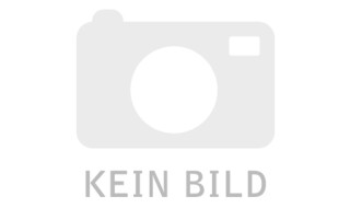 FALTER R 3.0 Classic RH48 Bright Turquoise von Koech 2-Rad Technologie e.K., 20535 Hamburg
