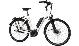 Gudereit EC 5 von Dannenberg Bikes, 30890 Barsinghausen