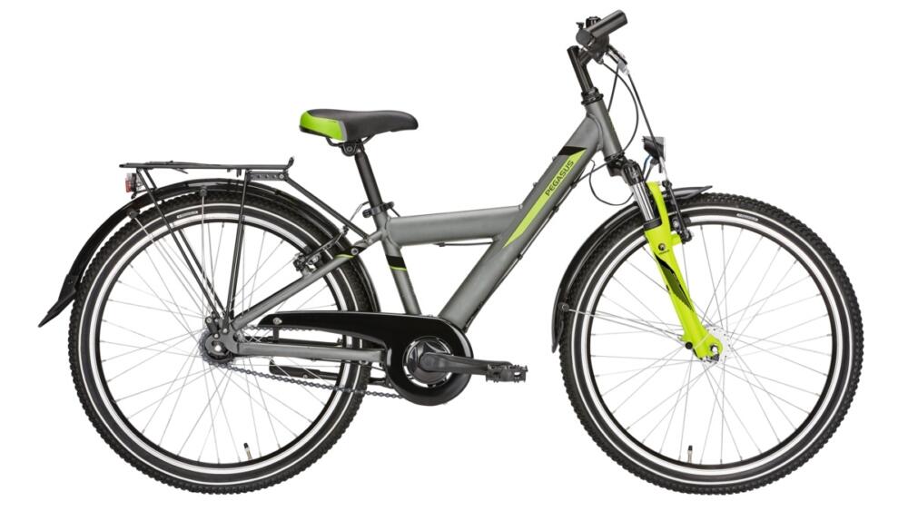 24 zoll fahrrad mit niedrigem rahmen pegasus
