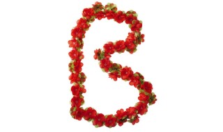 Basil Flower Garland Rosengirlande rot von Zweirad Center Legewie GmbH & Co. KG, 42651 Solingen