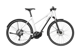 Riese und Müller Roadster Mixte vario von fahrradfuchs ebike erlebniswelt, 64521 Groß-Gerau