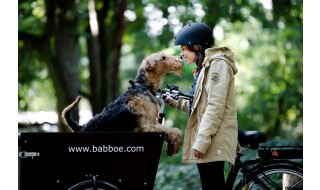 Babboe  Dog E dunkelbraun von Fahrrad Wollesen GmbH & Co. KG, 25927 Aventoft