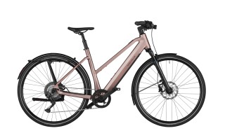 Riese und Müller UBN Seven touring von fahrradfuchs ebike erlebniswelt, 64521 Groß-Gerau