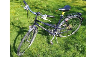 Schauff SCHAUFF "Castilia"  Damen-Trekkingrad von Bike-Rider Fahrrad-HENRICH, 57299 Burbach-Oberdresselndorf