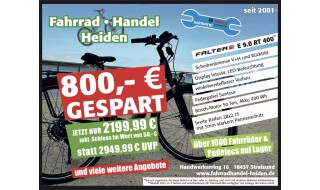 FALTER E 9.0 RT 400 von Fahrradhandel Heiden, 18435 Stralsund