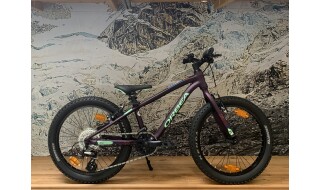 Orbea MX-20 Dirt von RR-Bikes, 51688 Wipperfürth