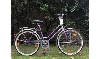 FALTER Falter Citybike, Violett-Silber von Bike & Fun Radshop, 68723 Schwetzingen