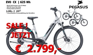 Pegasus EVO CX | 625 Wh von Fahrrad Rosskopp GmbH, 55218 Ingelheim