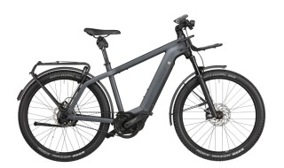 Riese und Müller Charger3 GT rohloff von Fahrrad Claus, 65468 Trebur