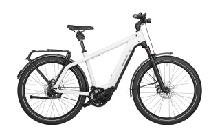 Riese und Müller Charger3 GT rohloff von Fahrrad Claus, 65468 Trebur