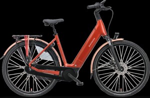 Batavus Finez Power plus 625