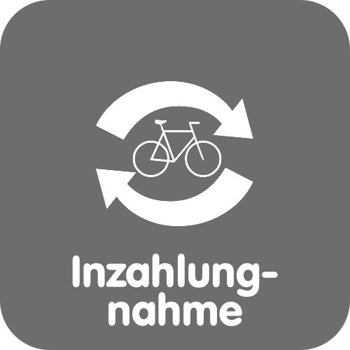 Inzahlungnahme