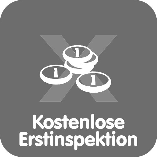 Kostenlose Erstinspektion