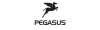 Pegasus PREMIO EVO 10 Lite Freilauf Gr.55 Rot 625Wh