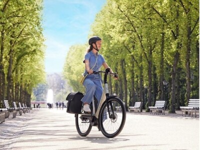 Preisgekröntes und bequemes E-Bike