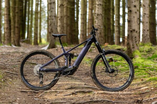 NEU im Programm RAYMON